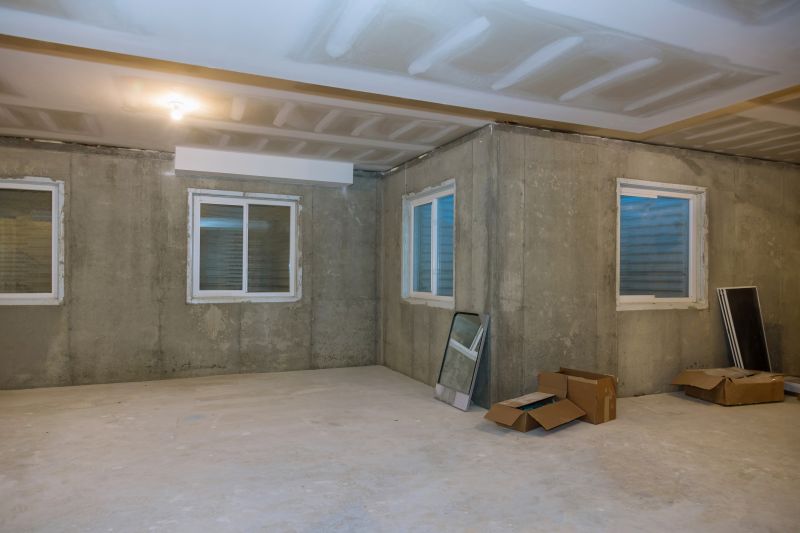 Spring Basement Renovation